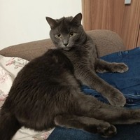 ���������� #2343327
