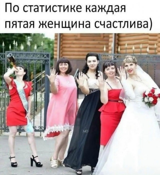 ���������� #2343334