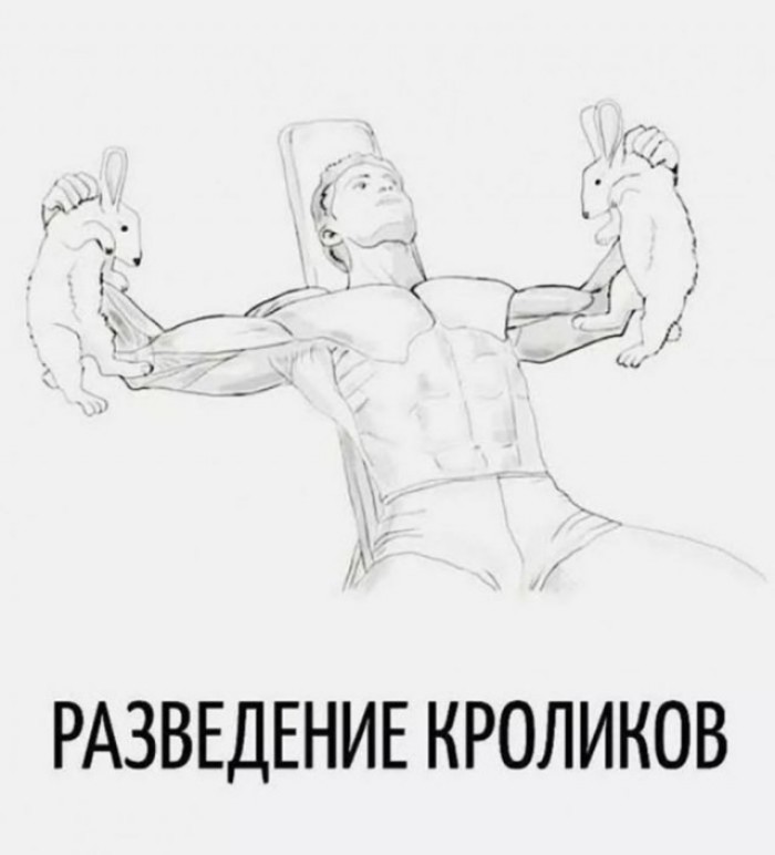 ���������� #2343762