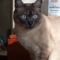 ��� ������:)