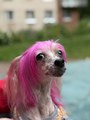 IMG_5672.jpeg