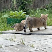 IMG_7449.jpeg