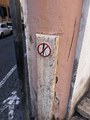 IMG_0352.jpeg
