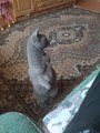 IMG_20260714_195420.jpg