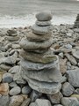 8737dfdd-09b0-44b0-ad81-9246a0463712-1_all_2652.jpg