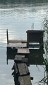IMG_2074.jpeg