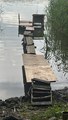 IMG_2073.jpeg