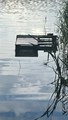 IMG_2068.jpeg