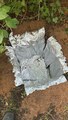 IMG_2063.jpeg