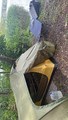IMG_2060.jpeg