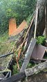 IMG_2057.jpeg