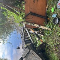 IMG_2056.jpeg