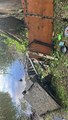 IMG_2056.jpeg