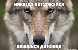 1000000037.jpg