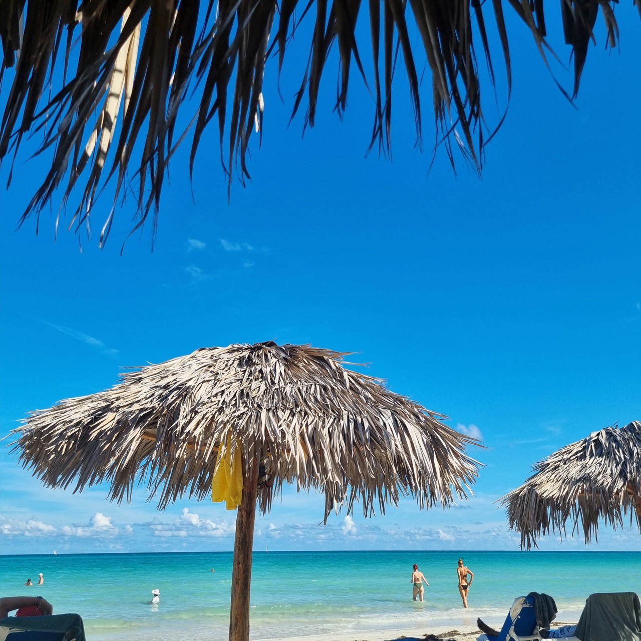 1000250127.jpg