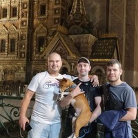 UA_ViRuS_UA, KamikadZZE, (RUS)98 26.07.2026