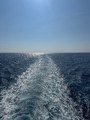 IMG_9230.jpeg