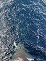 IMG_7567.jpeg