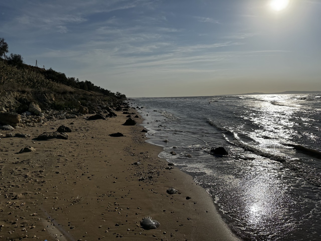 IMG_7328.jpeg