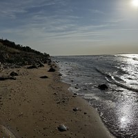 IMG_7328.jpeg
