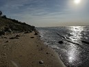IMG_7328.jpeg