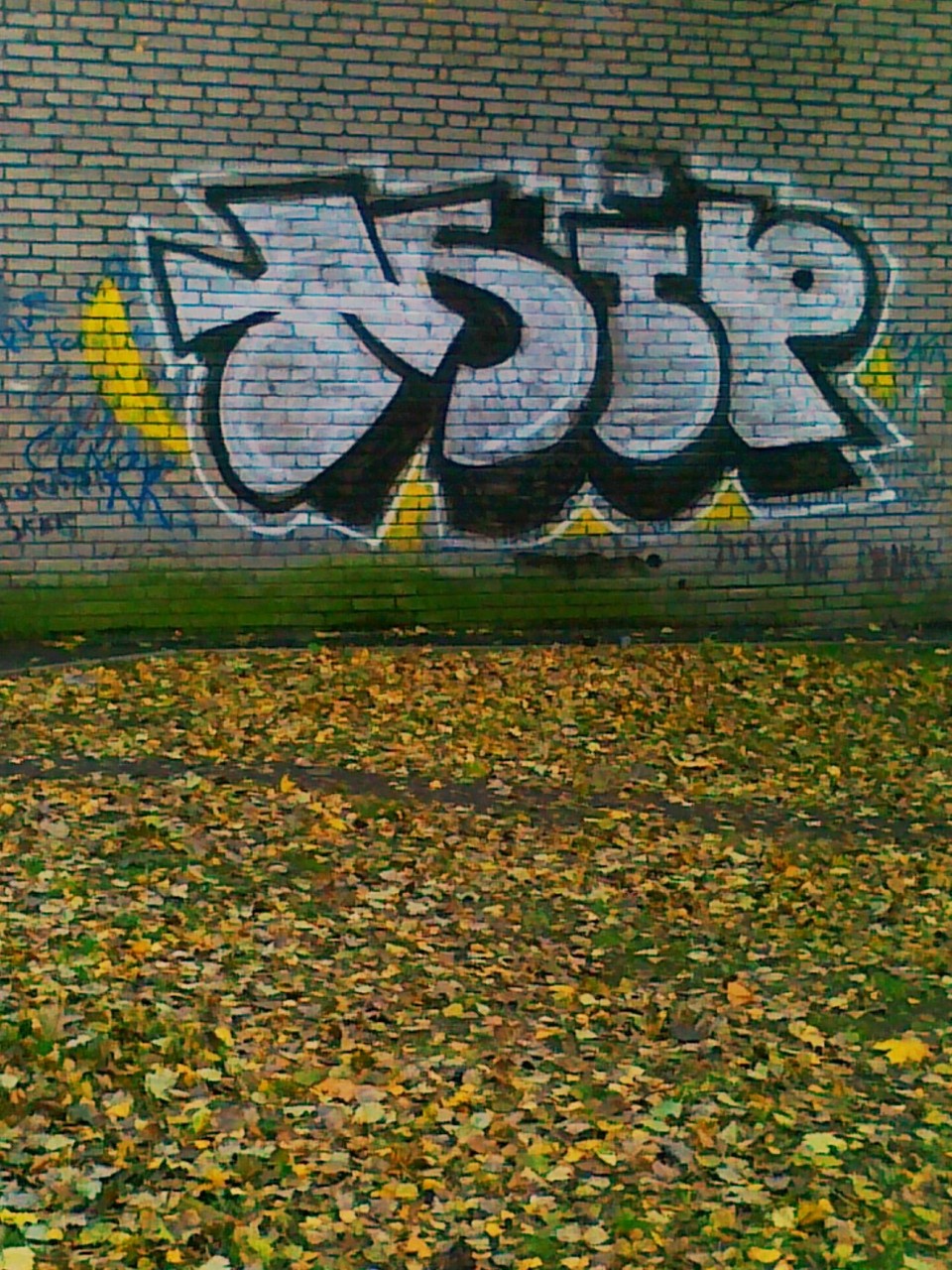 IMG_20240516_185557.jpg