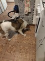 ���� � ������