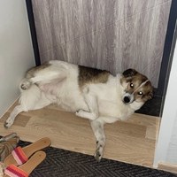 �� ������