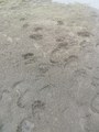 IMG_20240912_085010.jpg