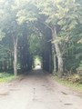 IMG_20210819_155435.jpg