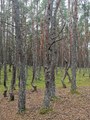 IMG_20210817_132614.jpg