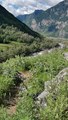 Videoframe_20210716_100237_com.huawei.himovie.overseas.jpg