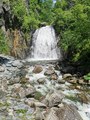 IMG_20210629_140918.jpg
