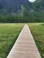 IMG_20210626_151610.jpg