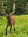 IMG_20210622_105924_1.jpg