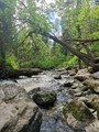 IMG_20210529_153443.jpg