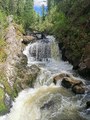 IMG_20210529_152256.jpg