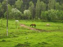 IMG_20210528_163202.jpg