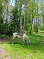 IMG_20210526_122209.jpg