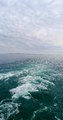 b04d0106-f7f8-4509-a903-55c8ec4e1ec3-1_all_204.jpg