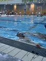 IMG_1558.jpeg