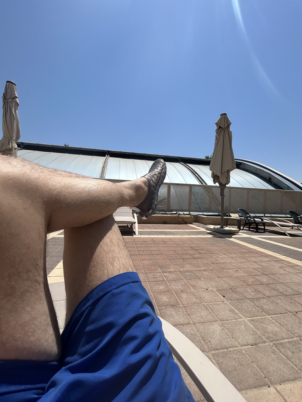 IMG_1517.jpeg