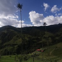 IMG_20250913_155515.jpg