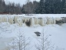 IMG_4460.jpeg