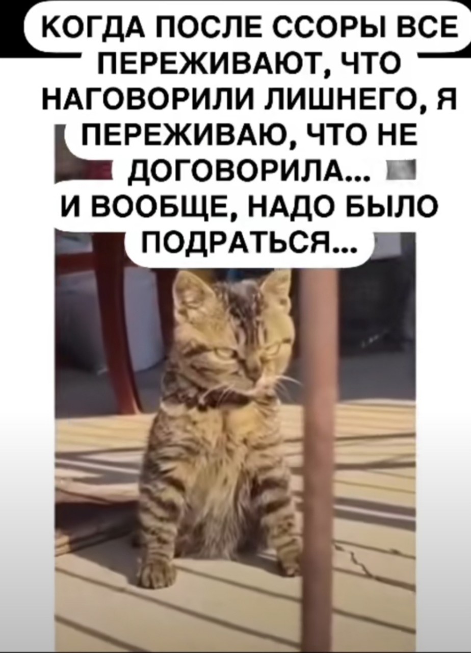 ���������� #2345558