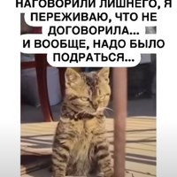 ���������� #2345558