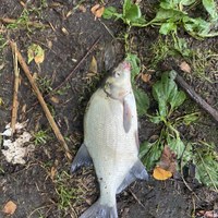 IMG_0493.jpeg