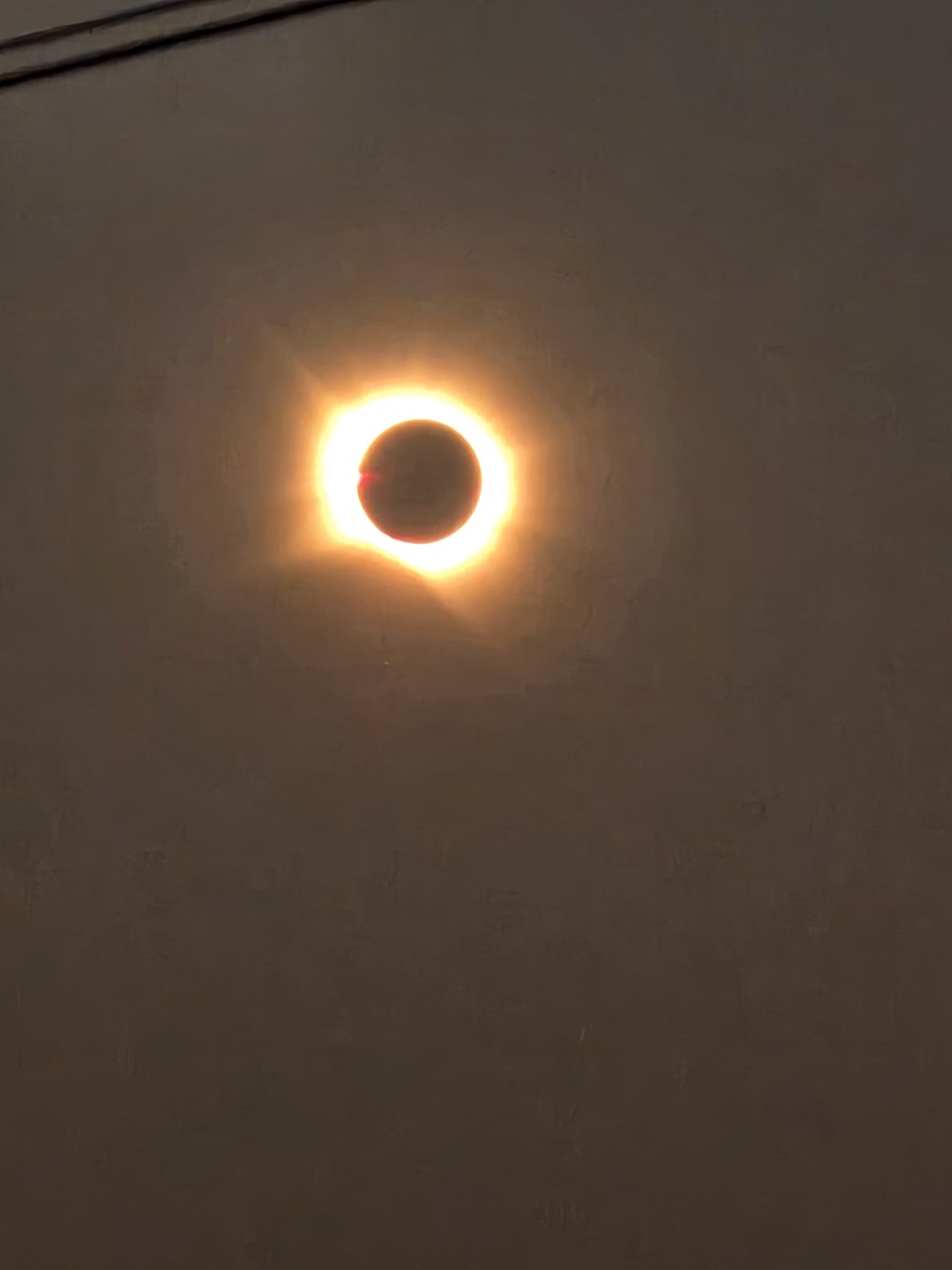 1000019291.jpg
