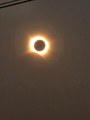 1000019291.jpg