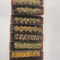 IMG_9636.jpeg